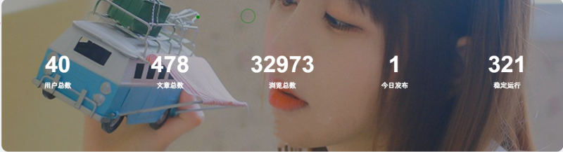 子比主题添加底部统计信息模块小工具-夏蓝博客