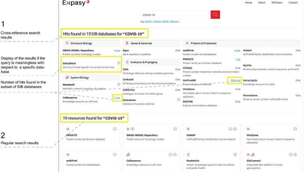 服务器选择攻略：匹配网站 SEO 需求-夏蓝博客