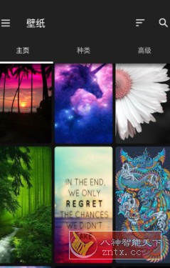 ZEDGE 铃声和壁纸v8.80.2高级版-夏蓝博客